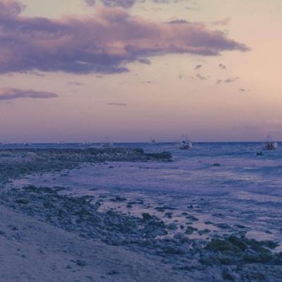 尊龙网址登录官网